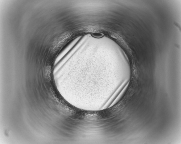 X0000101420066200807280947