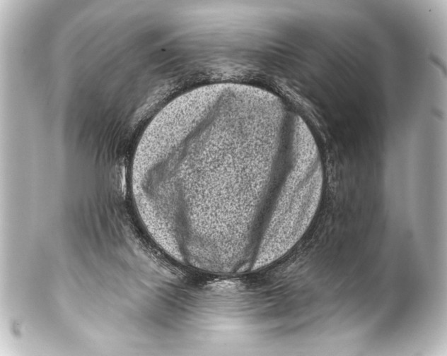 X0000101420067200807280947