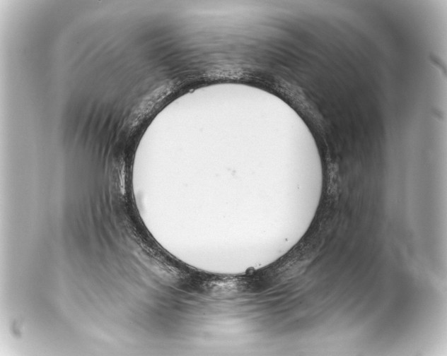 X0000101420068200807280947