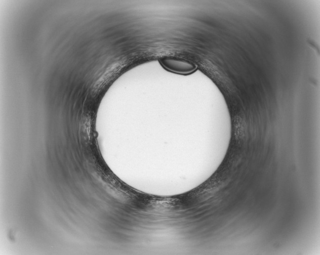 X0000101420072200807280947