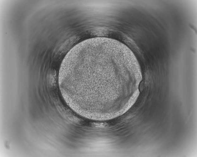 X0000101420073200807280948