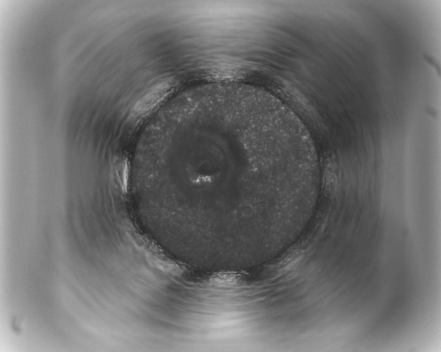 X0000101420076200807280948