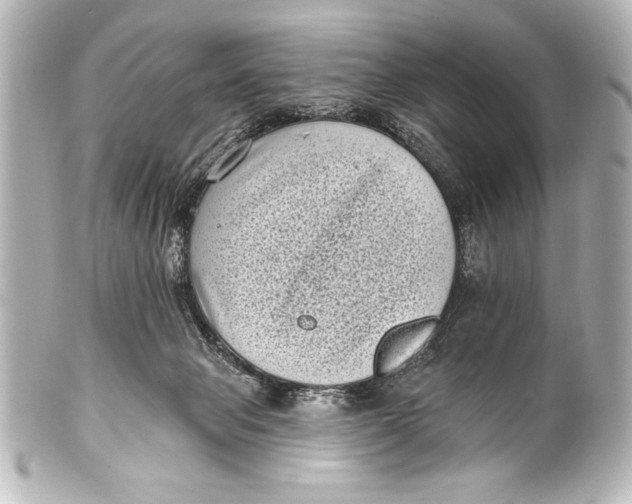 X0000101420077200807280948