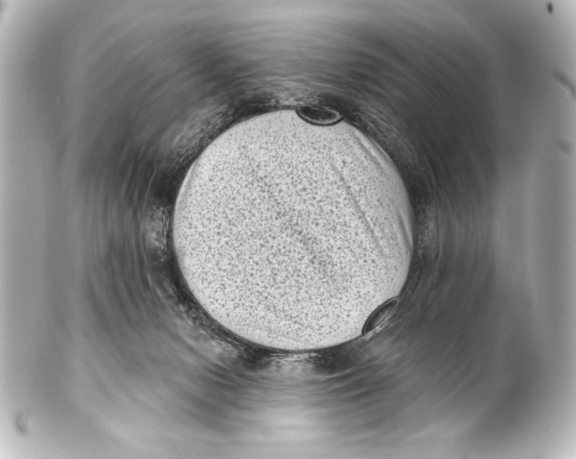 X0000101420078200807280948