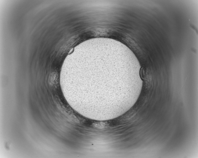 X0000101420079200807280948
