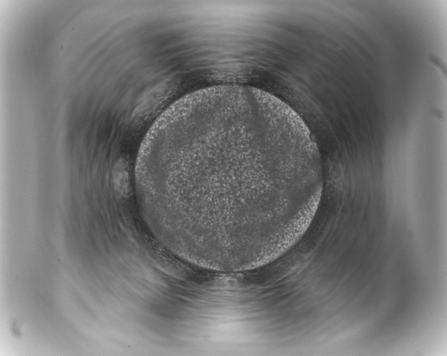 X0000101420080200807280948