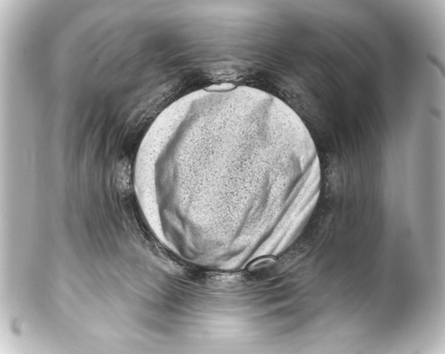 X0000101420081200807280948
