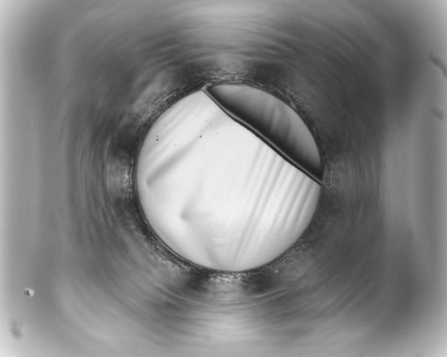 X0000101420084200807280948