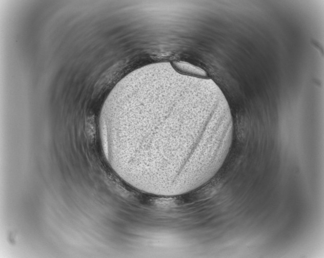 X0000101420085200807280948