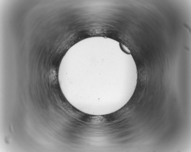X0000101420087200807280948