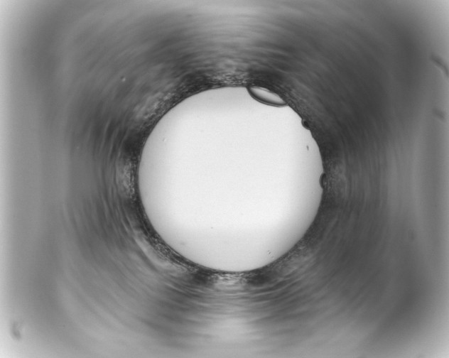 X0000101420088200807280948