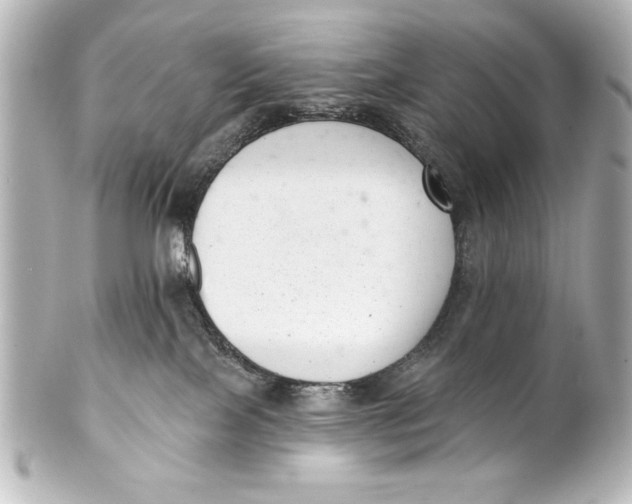X0000101420089200807280948