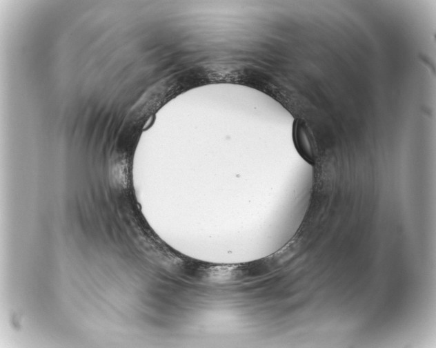 X0000101420090200807280948