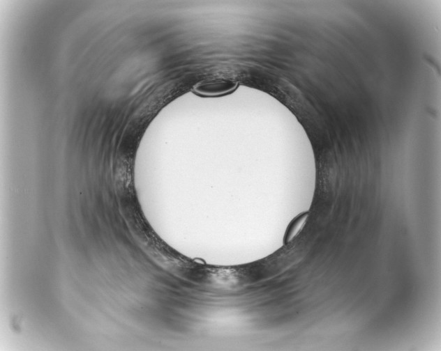 X0000101420091200807280948