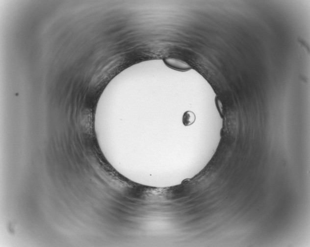 X0000101420092200807280948