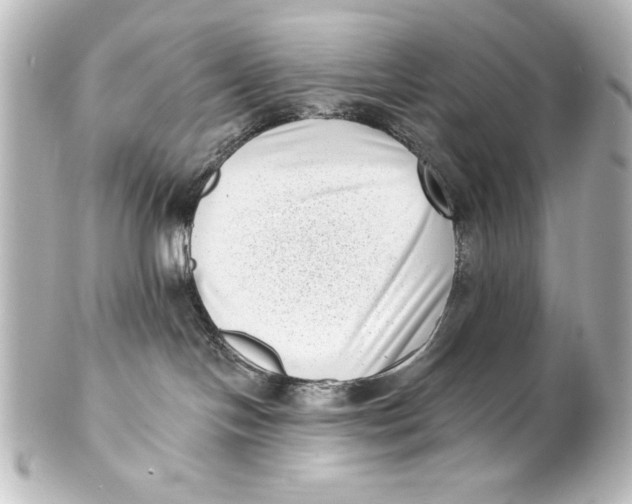 X0000101420094200807280948