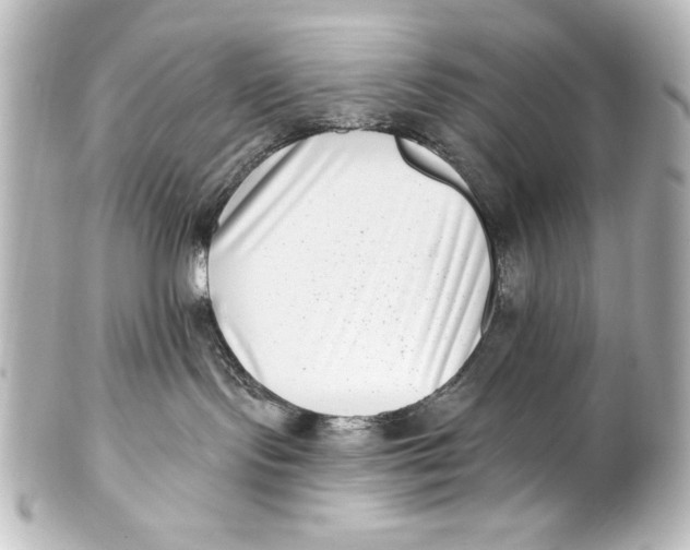 X0000101420095200807280948