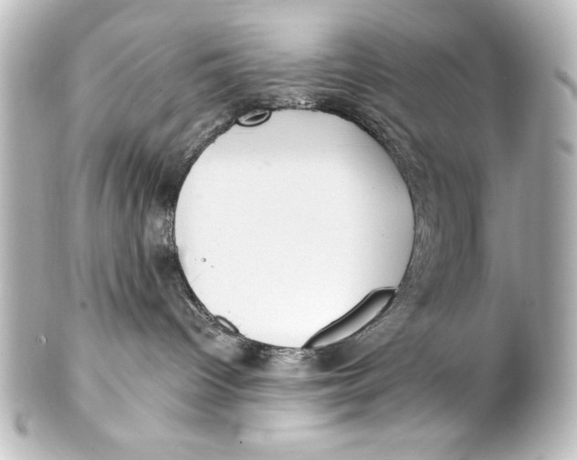 X0000101420096200807280948