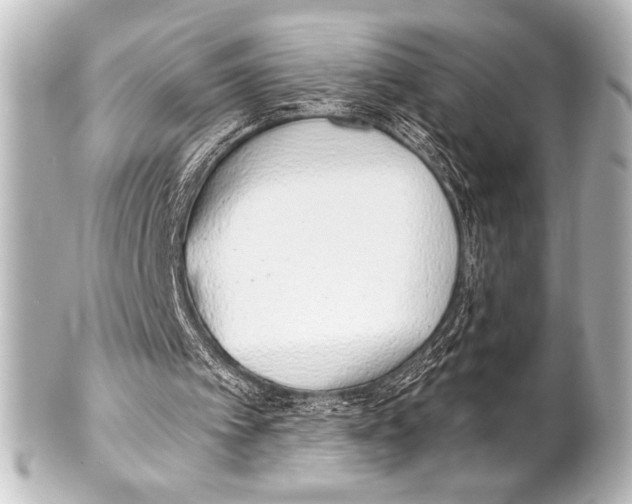 X0000101420097200807280947
