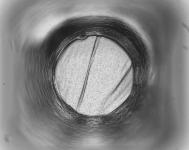 X0000101420099200807280947
