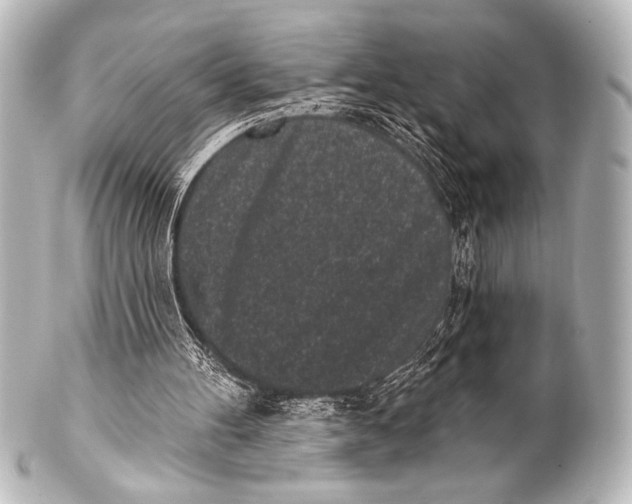 X0000101420100200807280947