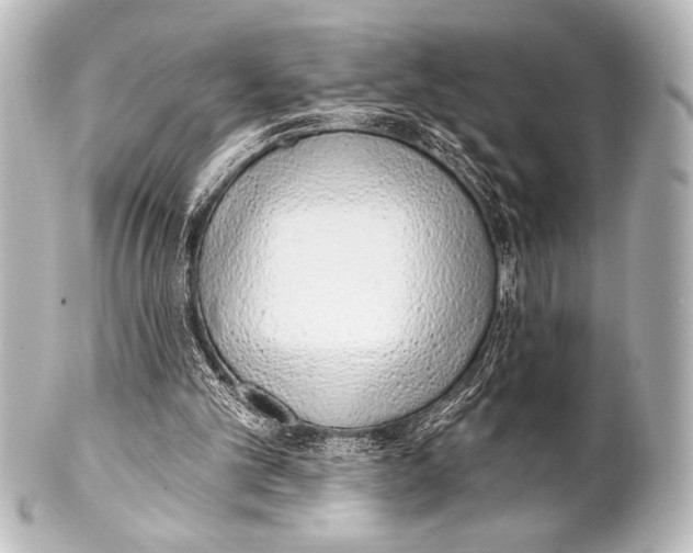 X0000101420101200807280947