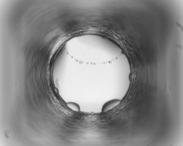 X0000101420102200807280947