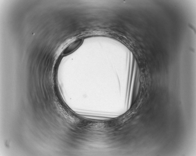 X0000101420104200807280947