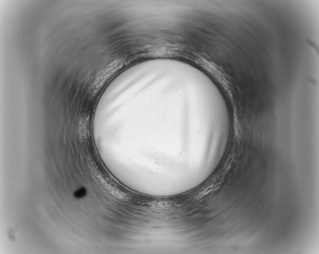 X0000101420105200807280947