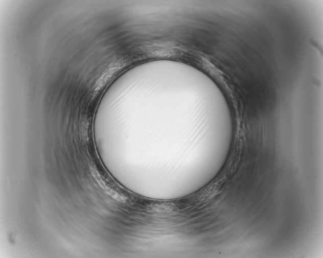 X0000101420106200807280947