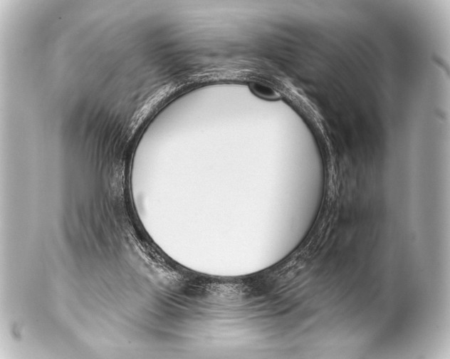 X0000101420107200807280947
