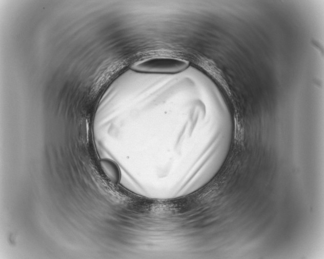 X0000101420109200807280947
