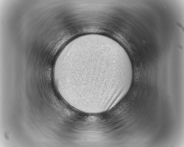 X0000101420111200807280947