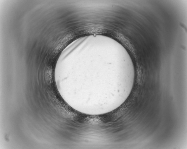 X0000101420113200807280947