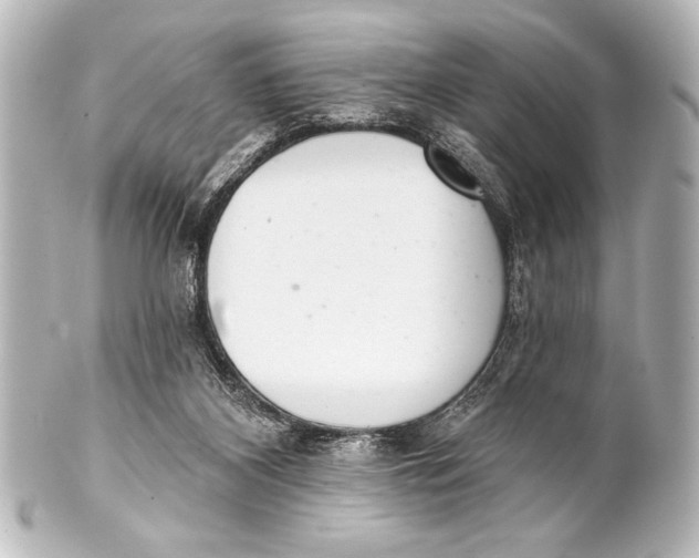 X0000101420116200807280947