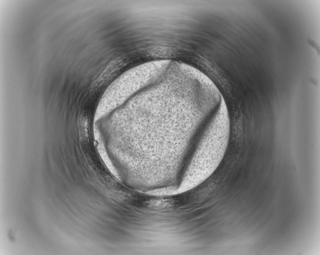 X0000101420117200807280947