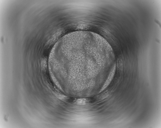 X0000101420127200807280947