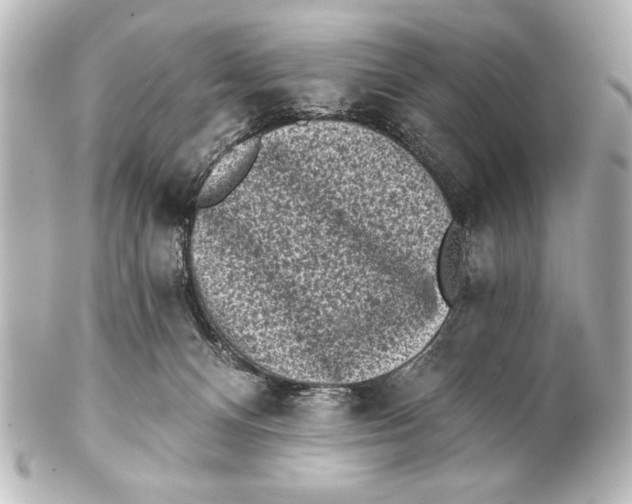 X0000101420128200807280947