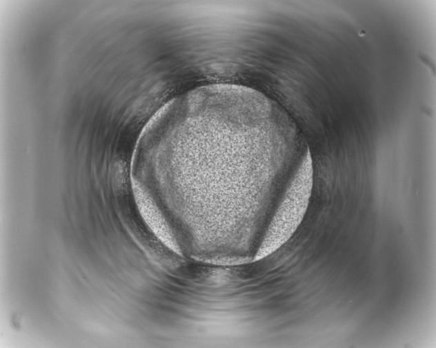 X0000101420130200807280947