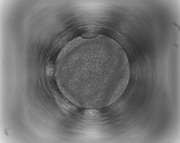X0000101420137200807280947