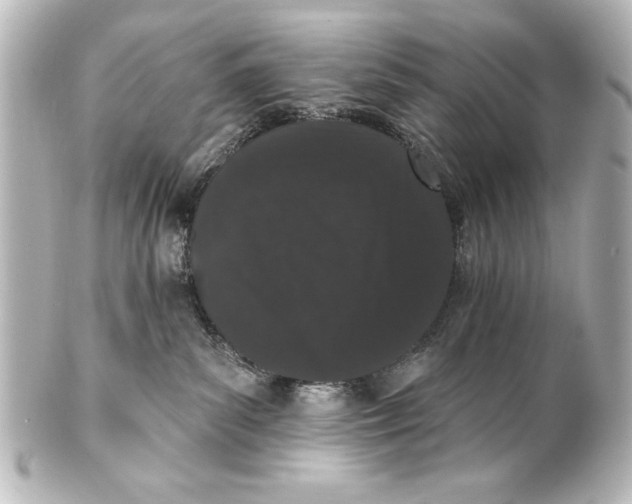 X0000101420139200807280947