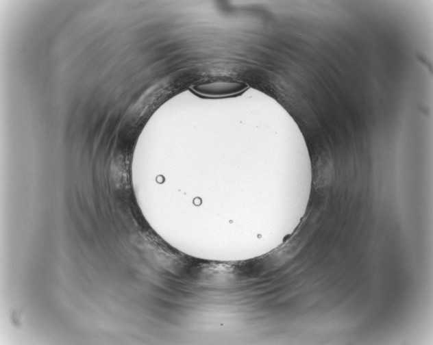 X0000101420140200807280947