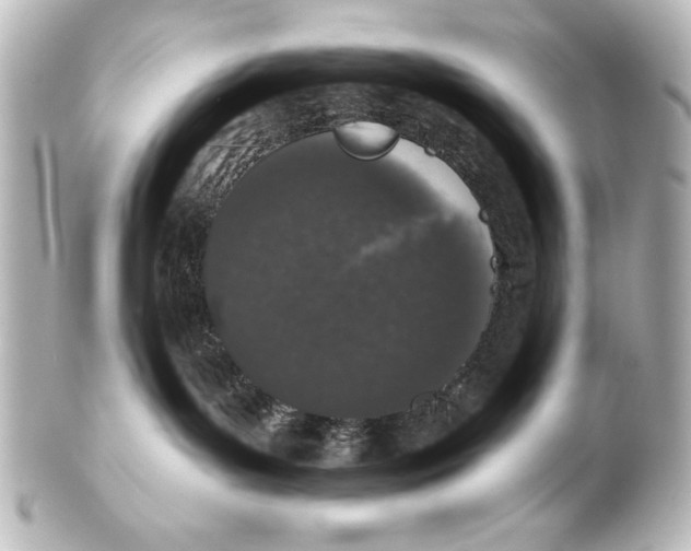 X0000101420143200807280947