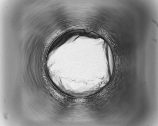 X0000101420145200807280946