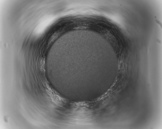 X0000101420146200807280946