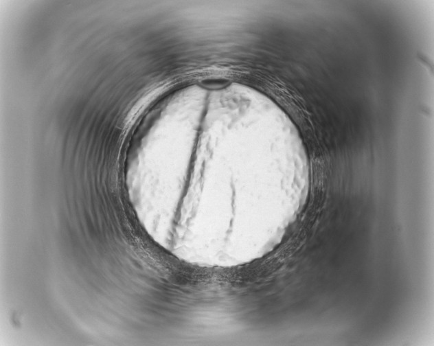 X0000101420147200807280946