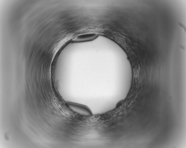 X0000101420148200807280946