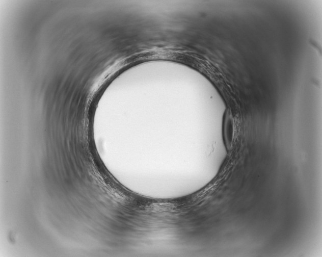 X0000101420150200807280946