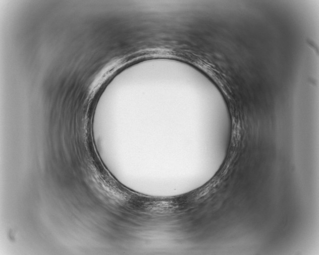 X0000101420151200807280946