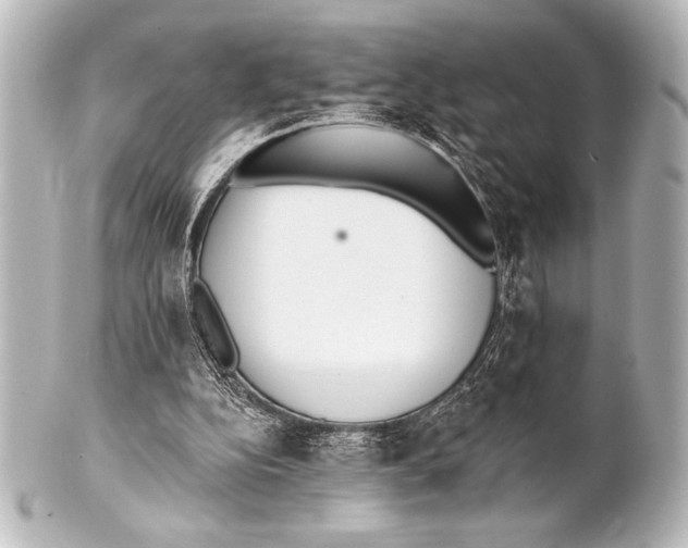 X0000101420152200807280946